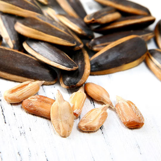 【洽洽】风味瓜子98g*5袋 8种口味任选 出游野餐标配