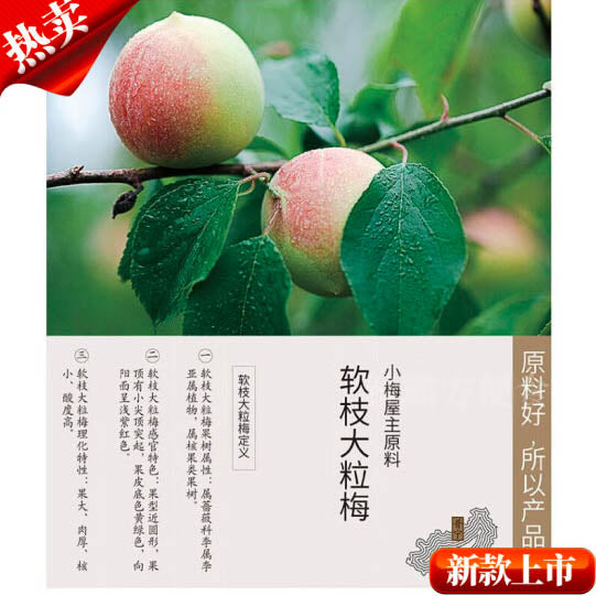 【小梅屋】梅子3盒装 梅饼/西梅/古原梅/乌梅 多口味可选 酸甜解馋