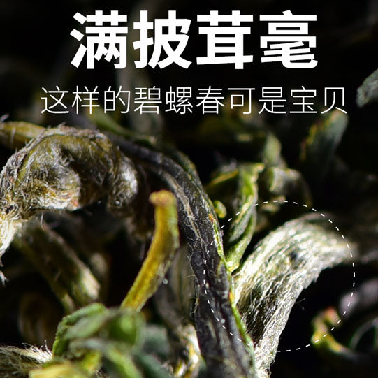 【天福茗茶】碧螺春100g/罐 源自江苏原产地春茶 口粮茶