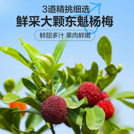 【良品铺子】东魁大杨梅70g*4袋（每袋约9小包，共36小包）浓甜微酸 解馋过瘾