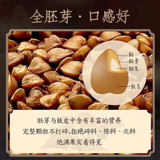 【虎标】黑苦荞茶350g/袋（7g*50包）商超同款 港牌口碑 点滴珍贵