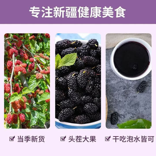 【楼兰蜜语】黑桑葚干225g/罐 富含花青素