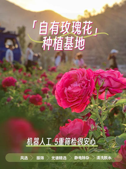 【潘祥记】玫瑰群芳 鲜花饼200g/袋（25g*8枚）4种口味 一次满足您的味蕾