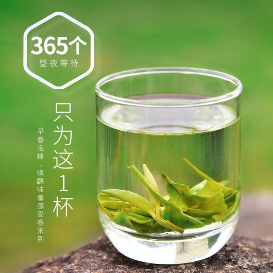 【天福茗茶】一级 早春毛峰绿茶150g*2袋 每一口都饱含春天的味道