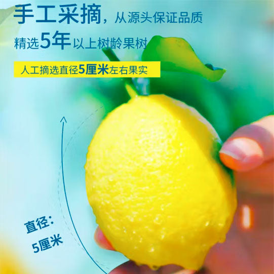 【汇达】冻干柠檬片40g*2盒（共含约40小袋）挑选新鲜柠檬中间片段 直接泡水喝 满满维C呵护