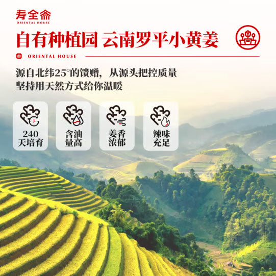 【寿全斋】柠檬姜茶120g/盒（12g*10包）酸甜清爽不怕辣 富含维C的姜汤