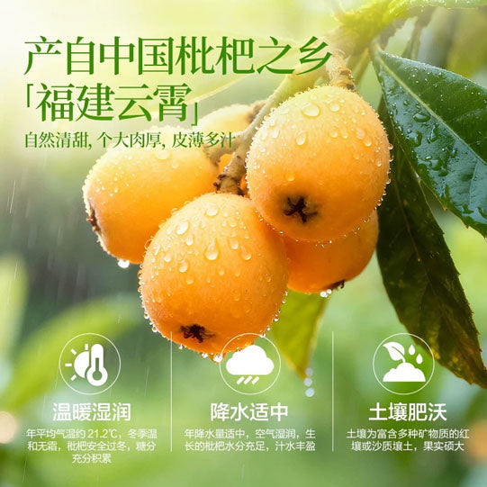 【良品铺子】竹盐枇杷干200g/袋（约20颗）精选福建云霄枇杷去核 甘爽清甜