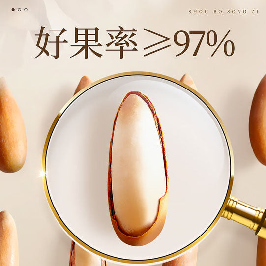 【沃隆】巴西松子238g/罐（约760粒）来自高山雪水的手剥松子