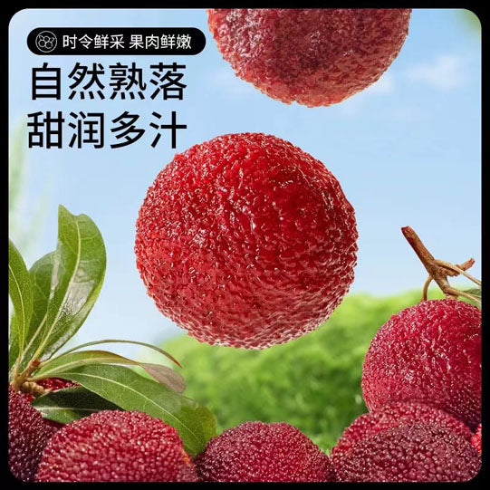 【三只松鼠】量贩装 杨梅干500g/袋（内含约70小包）肉厚核小 甜润多汁