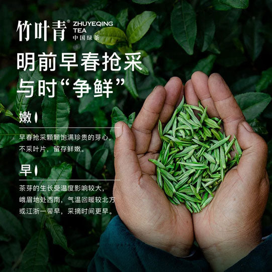 【竹叶青】明前绿茶45g/袋（3g*15包）源自峨眉高山 鲜爽回甘