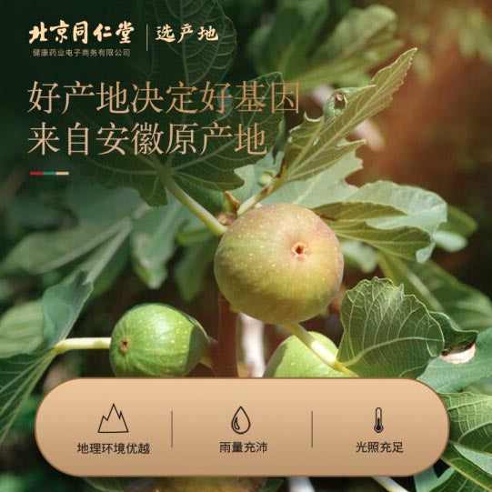 【北京同仁堂】青源堂无花果干210g/罐 严选安徽饱满大果 即食泡水煲汤你随意