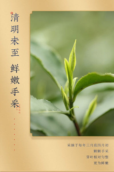 【西湖牌】明前特级西湖龙井50g/罐 正宗西湖产区标杆小金罐 2025新茶尝鲜价